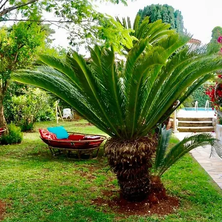 Апартаменты Cap Maisonette Avec Piscine Privative *